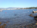 DSC02016