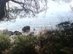 dsc00500