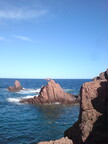 dsc00503