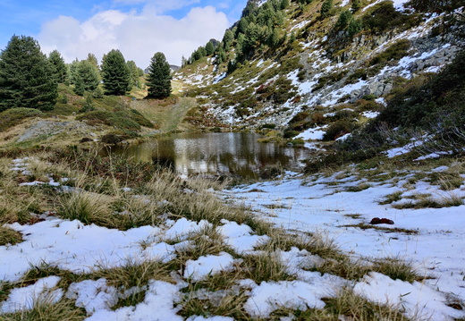 IMG 20201004 150452