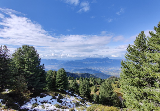 IMG 20201004 151045