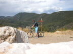2006