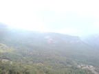 DSC00318