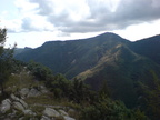 2008