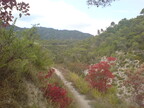EscareneColDuSavel-28Sept2008