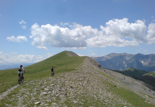 VTT