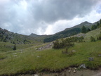 VTT