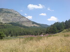 Champsaur-Lundi13Juillet2009