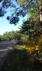 12-Piste