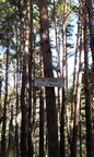 13-Orthographe