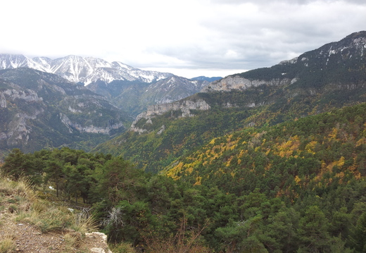 IMG 20121103 113219