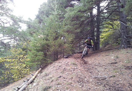 IMG 20121103 114912