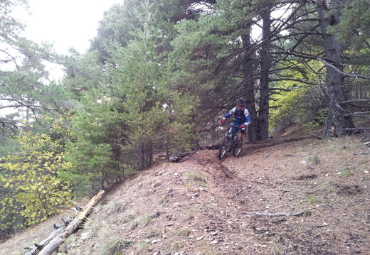 IMG 20121103 114916