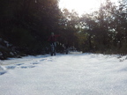 Levens-16Novembre2013