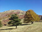 IMG 20141108 125746