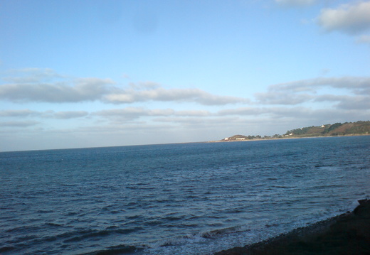 DSC00877