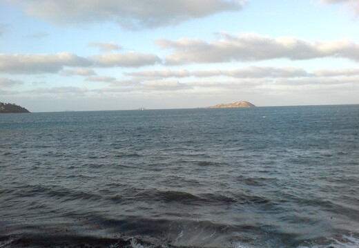DSC00879