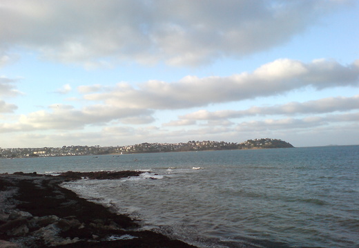 DSC00881