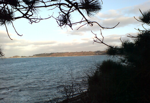 DSC00882