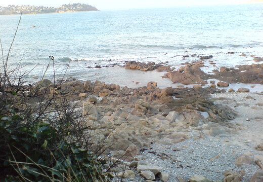 DSC00883