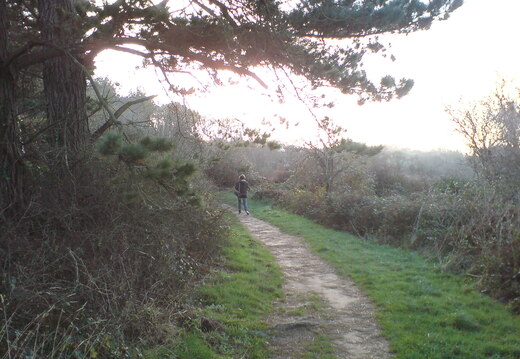 DSC00884