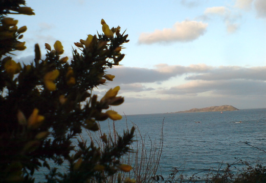 DSC00886