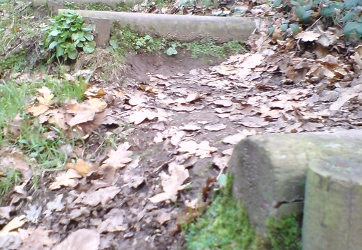 DSC00888