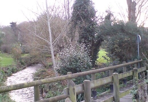 DSC00889