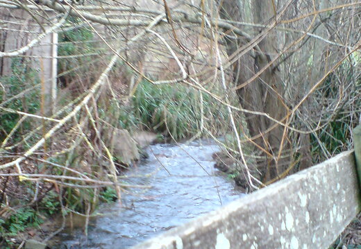 DSC00890